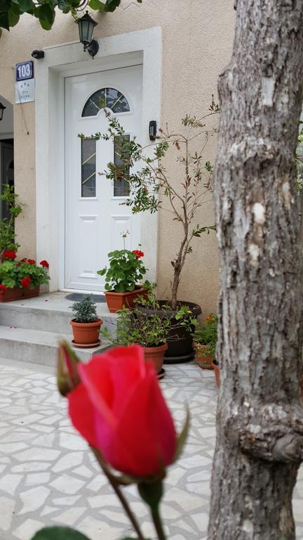 Hibiscus Guest House Budva Buitenkant foto